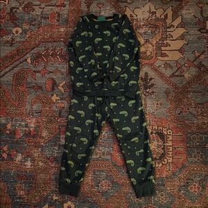 Lizard Sweatshirt Set